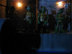 fig-photos001001.gif