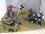 fig-photos001010.gif